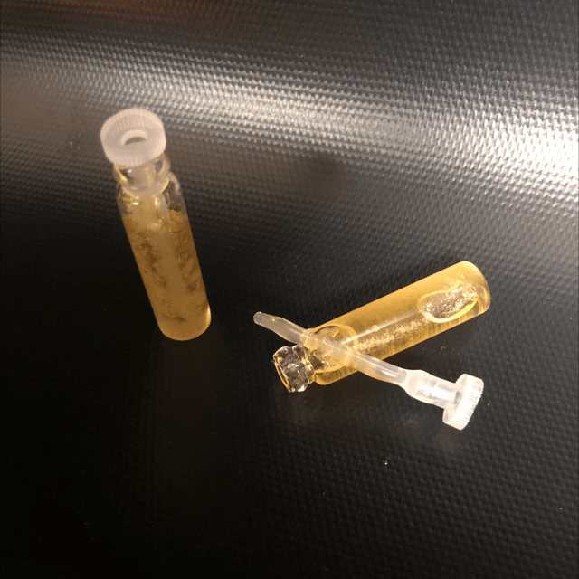 Save a Bee! keyring