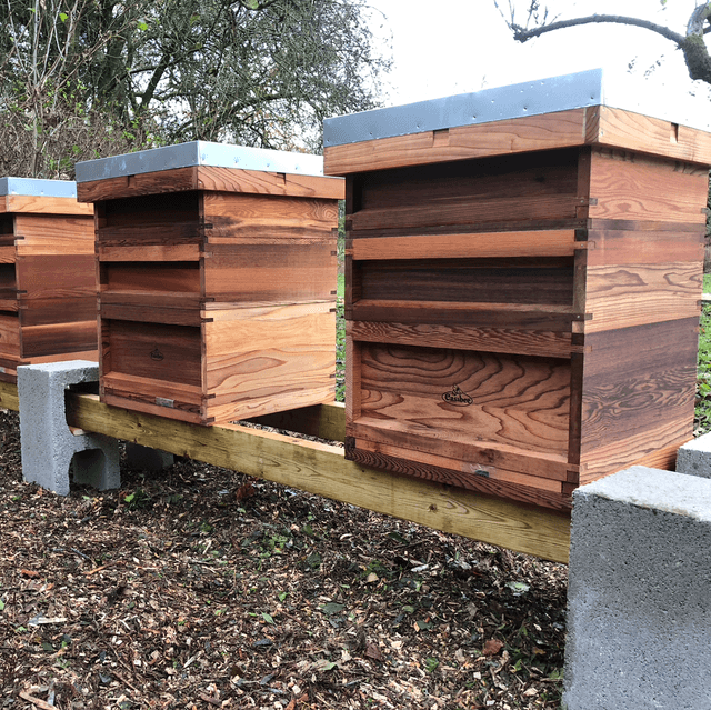 Adopt a Hive- 2026